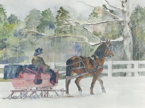 Sleigh Ralley, Stockbridge