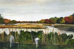 Marshy InletCape Cod