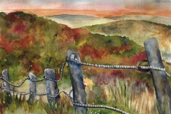 Pittsfield State Forest -West with Fences