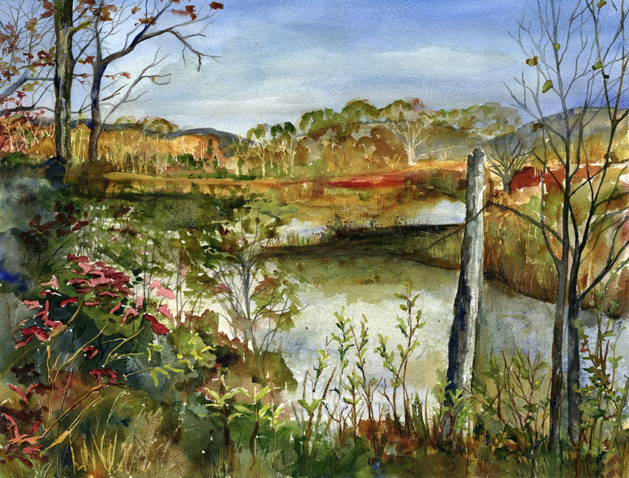 Beaver Dam at Canoe Meadows